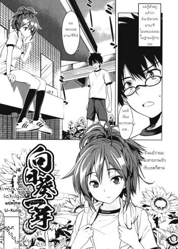 รักเธอนะยัยปากแข็ง – Himawari Ichiga