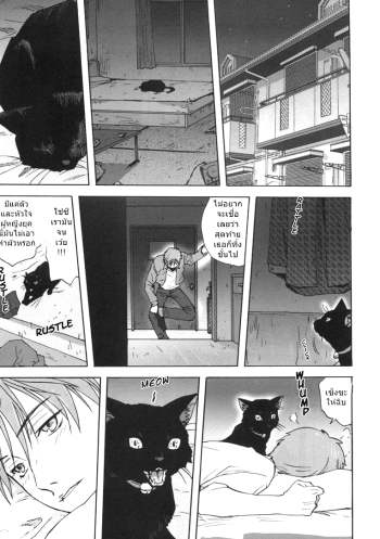 เป็นชั้นได้ซิน่ะ – [Mitarashi kousei] Black Cat Crossing